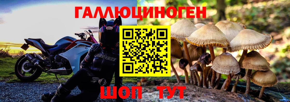 Псилоцибиновые грибы Cubensis  Галлюциногенные грибы MAGIC MUSHROOMS  Чебаркуль  Вход с VPN 